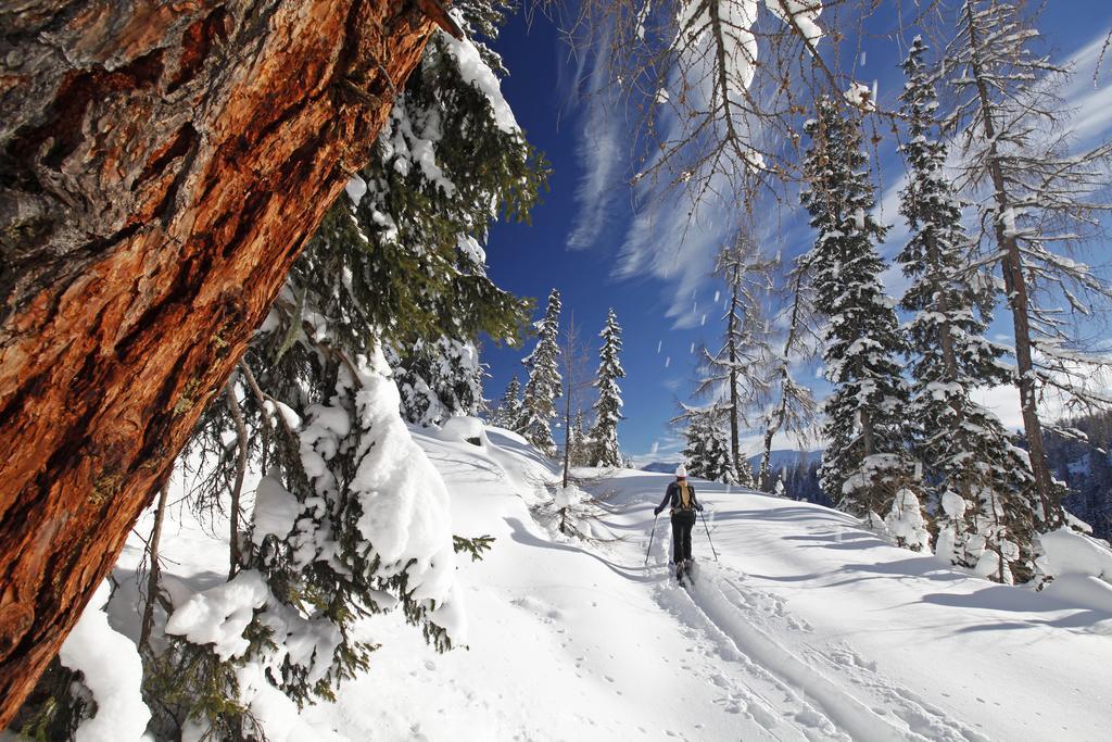 Appartement Charly Kahr And Family, Ski-In & Ski-Out Шладминг Экстерьер фото